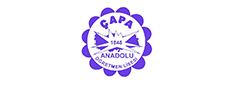 Çapa Anadolu Öğretmen Lisesi
